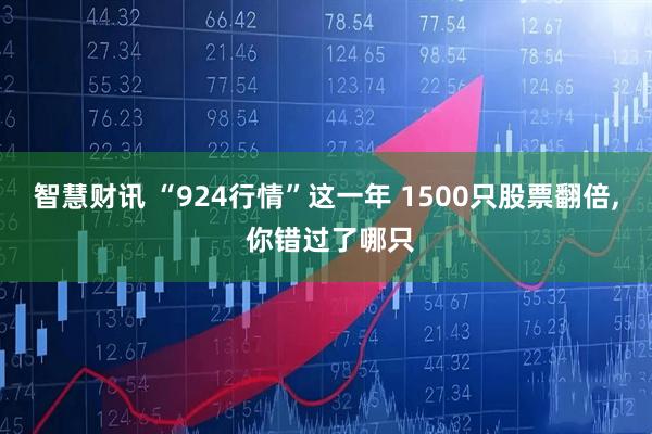 智慧财讯 “924行情”这一年 1500只股票翻倍, 你错过了哪只