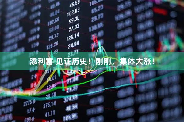 添利富 见证历史！刚刚，集体大涨！