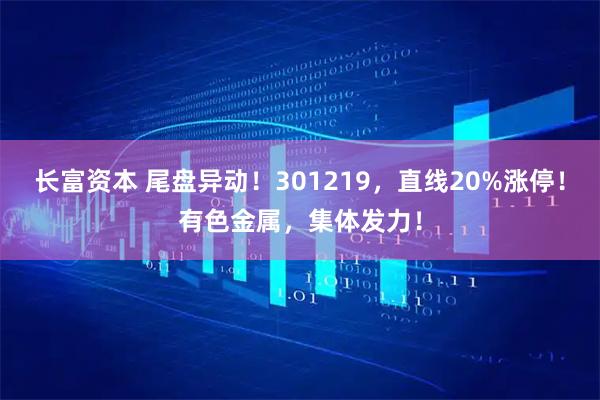 长富资本 尾盘异动！301219，直线20%涨停！有色金属，集体发力！