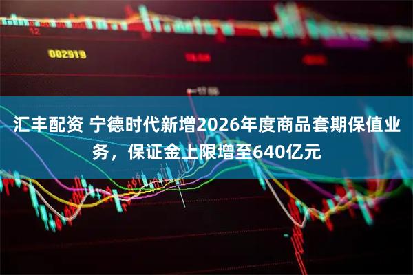 汇丰配资 宁德时代新增2026年度商品套期保值业务，保证金上限增至640亿元